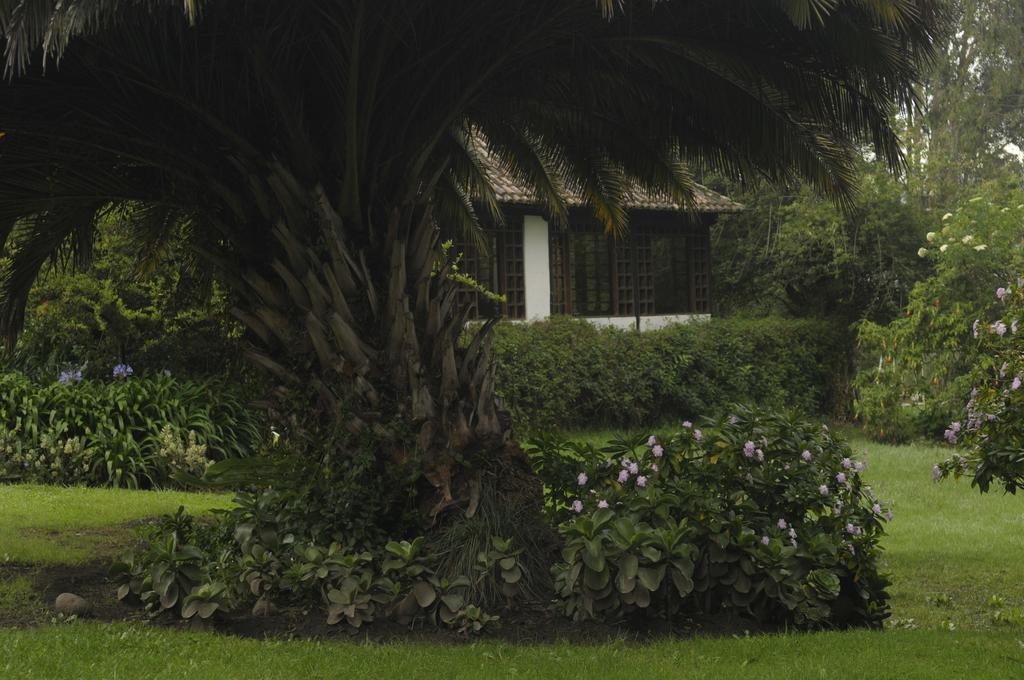 Bed and Breakfast Molino San Juan Каямбе Экстерьер фото